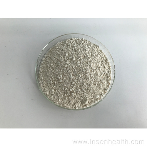 Green Tea Extract L-theanine Powder